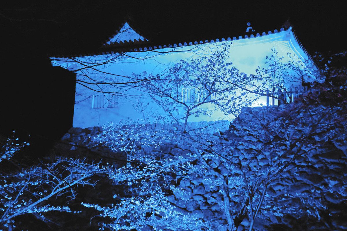 亀山城多門櫓と桜を青白く 世界自閉症啓発デー：中日新聞Web