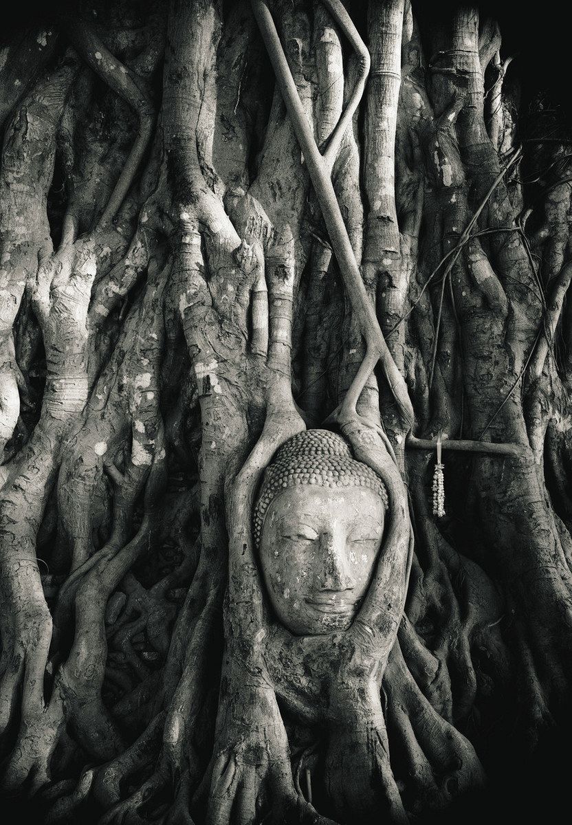 井津建郎が見た世界】（8）真夏日に潤い運ぶ微笑みの仏頭：北陸中日