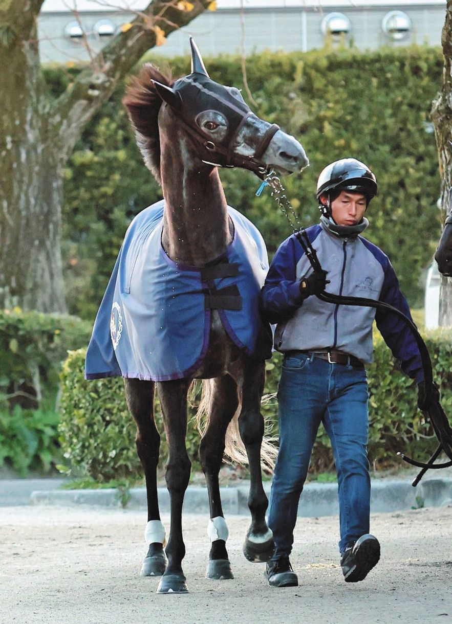 有馬記念枠順確定】クロノジェネシスは8枠回避 名手ルメール歓喜「はい