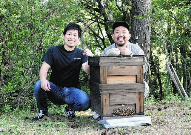 ミツバチの巣箱を設置した渡辺さん（右）と伊藤店長＝一宮市冨田のウッドデザインパークいちのみや紡で