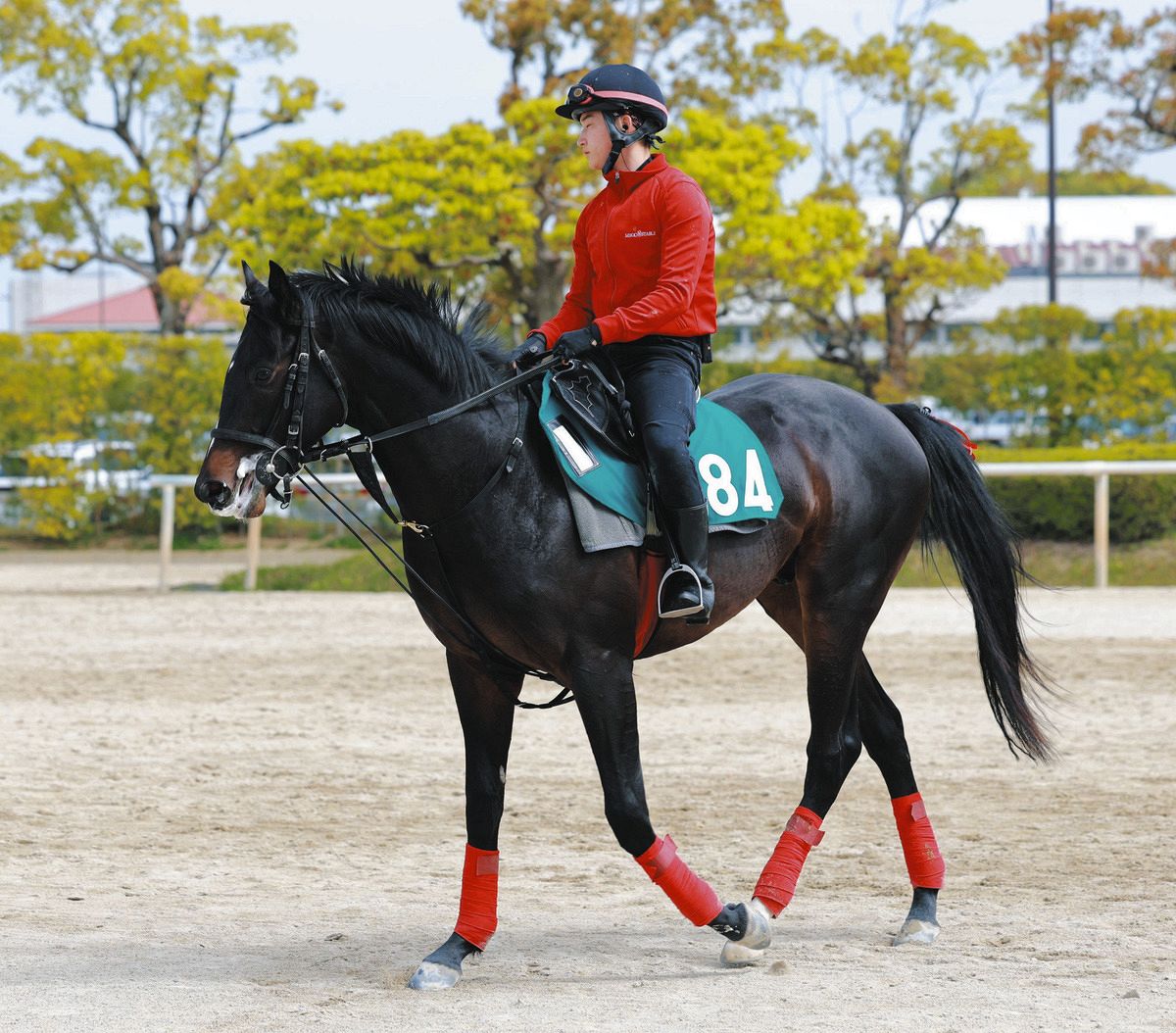 東京新馬戦】セレクトセール1億4500万円…初陣に挑むマテンロウアルカナ