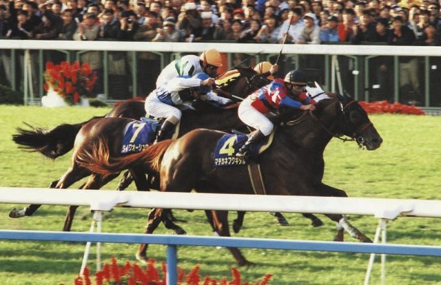 1997年の菊花賞優勝馬・マチカネフクキタル死す 26歳「最後は放牧場の