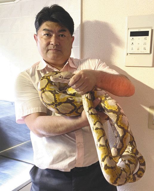 能登地震寄付　鷲と蛇　シンボルとしての動物 鷲と蛇: シンボルとしての動物 (叢書・ウニベルシタス 531