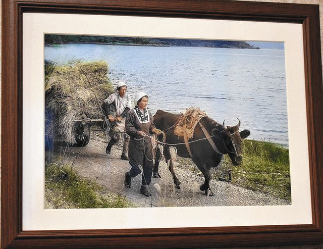 昭和３０年代の高浜の写真、ＡＩでカラー化 高浜「ふらり」で展示：中 
