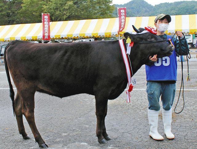 高山 山武ファーム さおり が名誉賞 県畜産共進会 種牛の部 中日新聞web