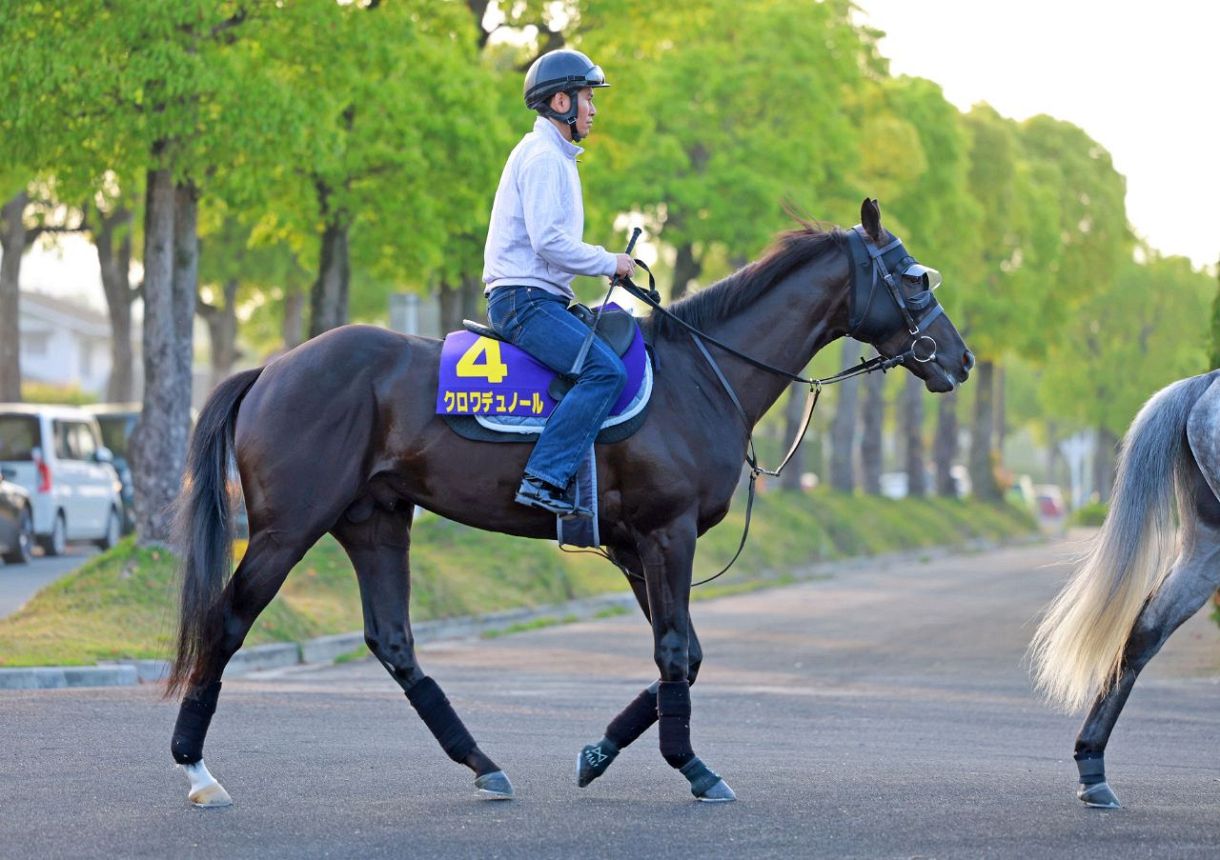 日本ダービー 金曜チェック】クロワデュノールは入念、角馬場