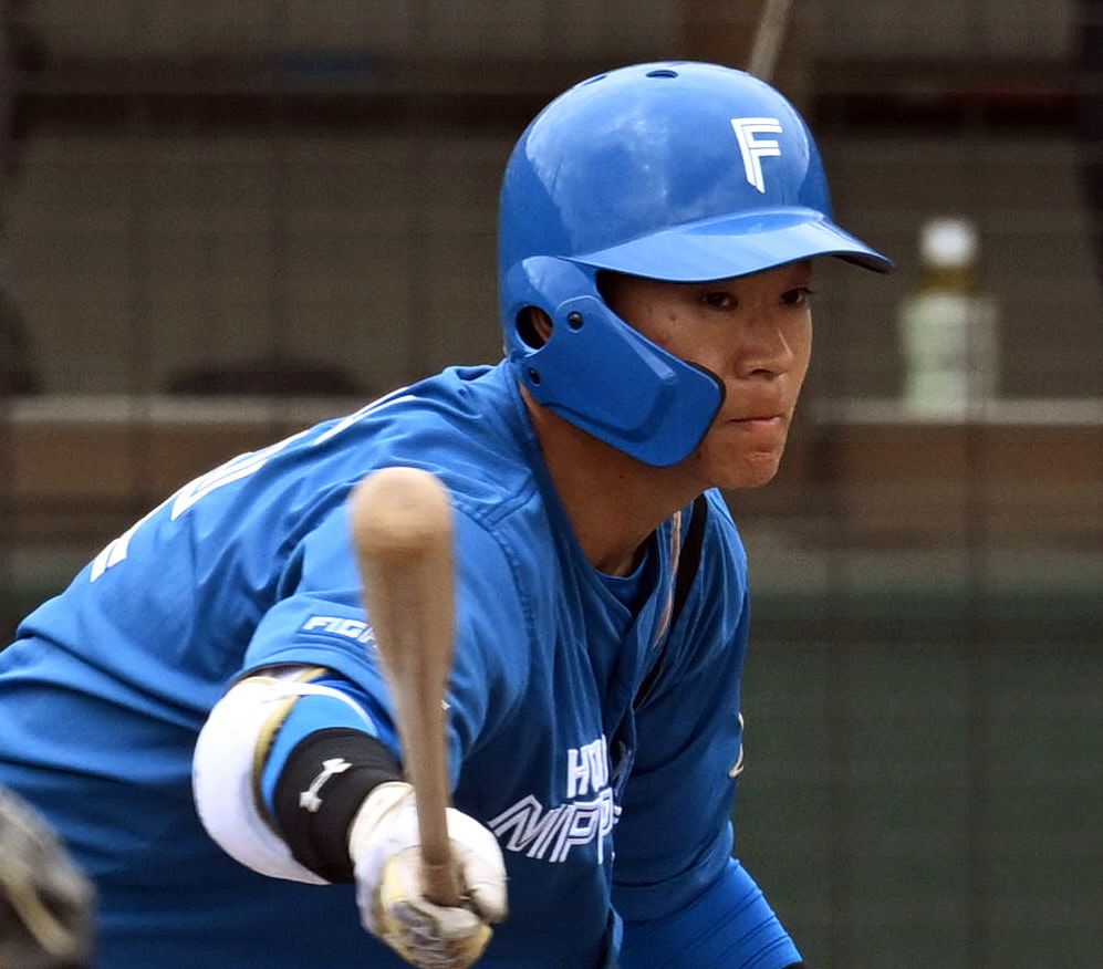 矢沢が“矢沢”の名曲に乗って勝ち越し打 二刀流ルーキーがホームで鮮烈デビュー【日本ハム】：中日スポーツ・東京中日スポーツ