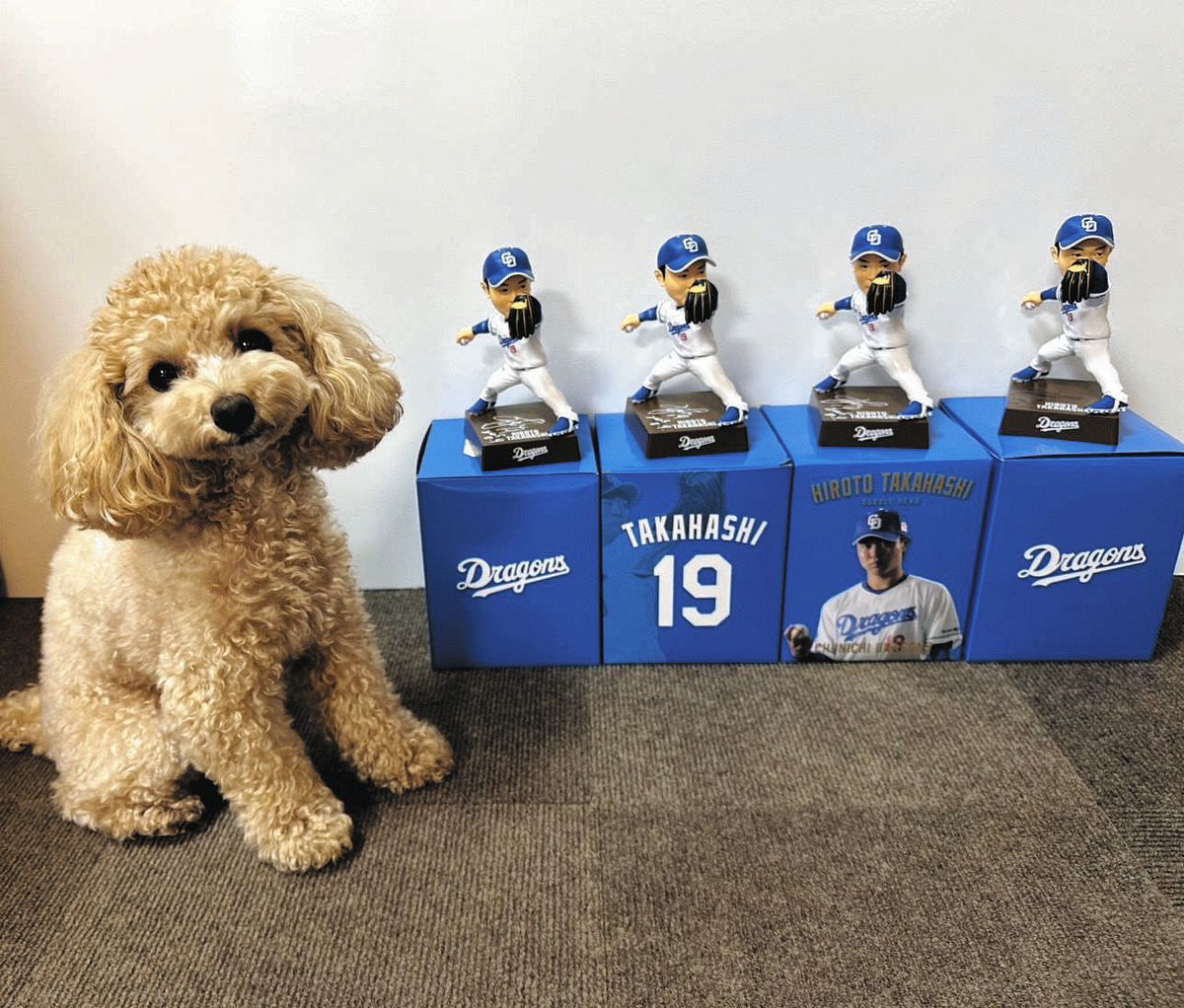中日・高橋宏斗、癒しの存在は愛犬「ショコラ」散歩が気分転換、W