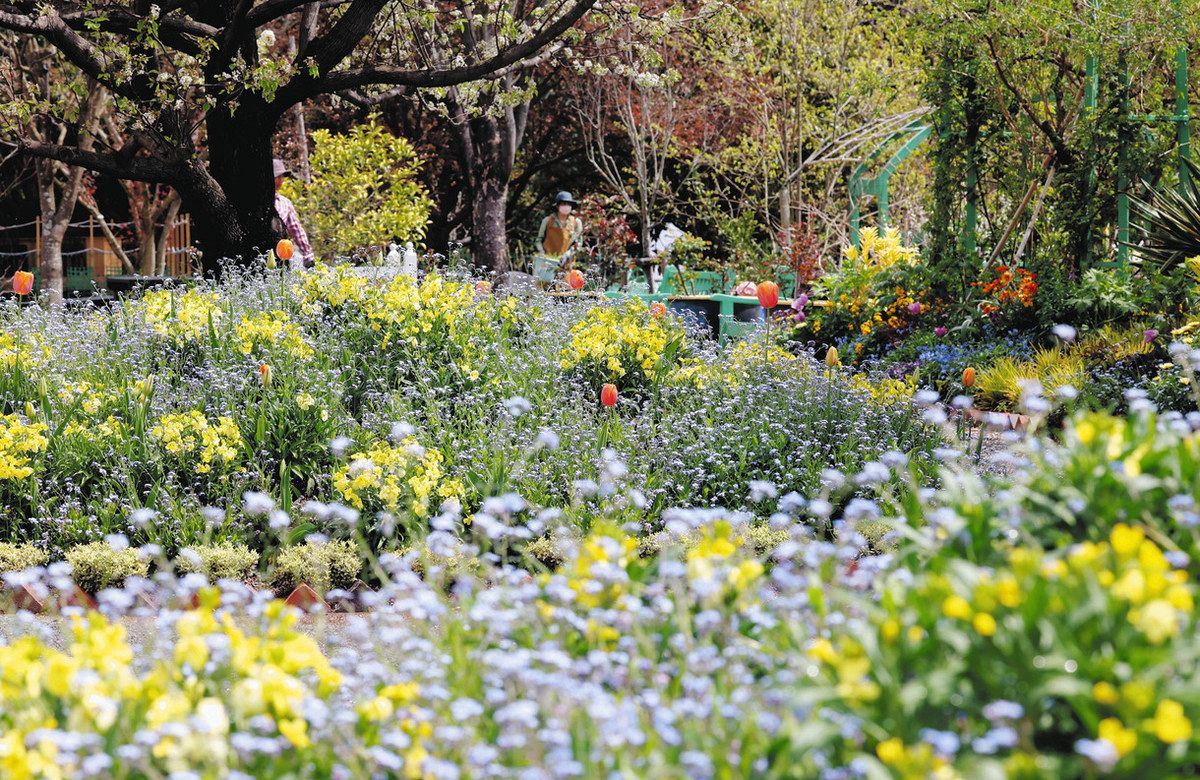 浜名湖花博2024 ガーデンパーク会場、6日開幕：中日新聞しずおかWeb