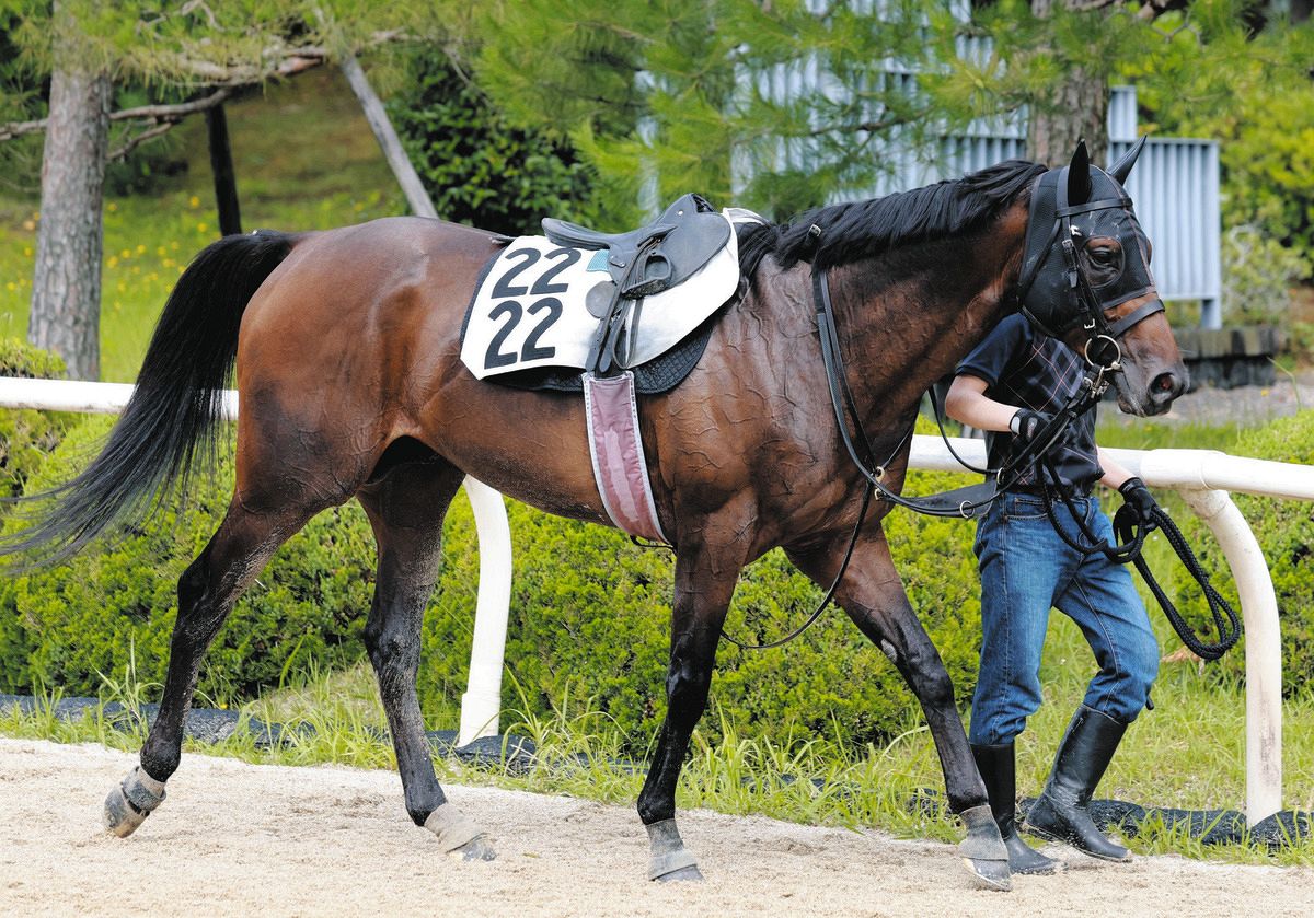 小倉大賞典】ダートの大器ヤマニンウルス、トップハンデ背負い芝初挑戦