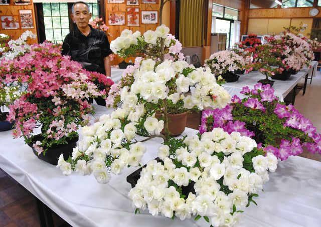 希少 大変美しい輪島屋本店さんの半月盆