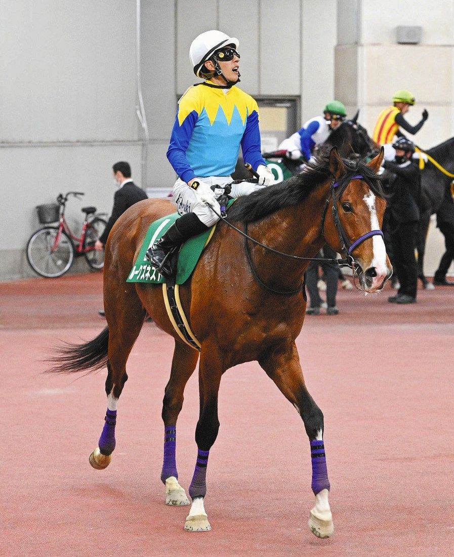 Nhk Mile Cup Falcon Stakes Luke S Nest Is No 2 And No 3 It S Not Very Bad Chunichi Sports Tokyo Chunichi Sports Sportsbeezer