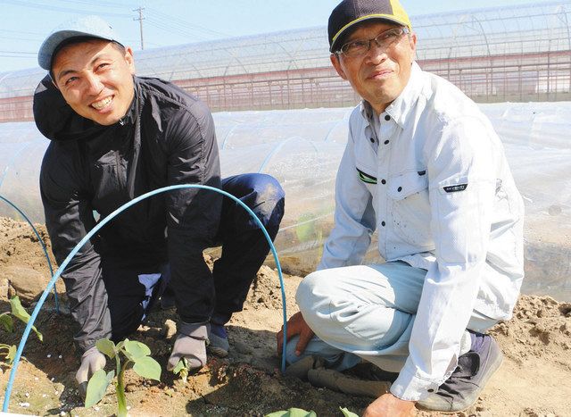元ラガーマン 遠藤さん農業の道 海老芋生産学ぶ 中日新聞しずおかweb