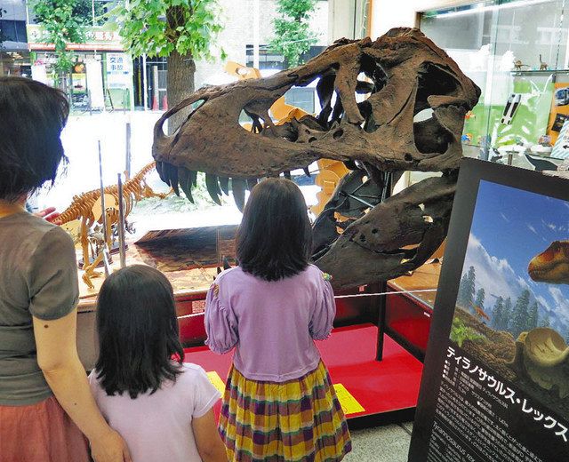 恐竜と新幹線 大阪でｐｒ 模型やクイズ 県事務所が特別企画展 中日新聞web