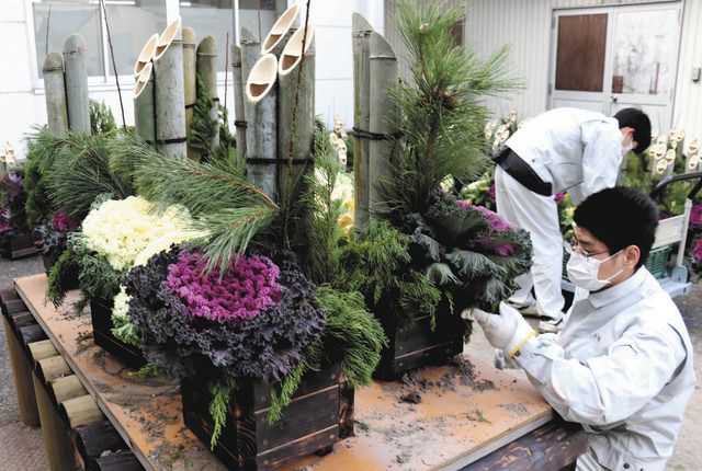 大きなハボタンで門松 甲南高等養護学校生らが恒例の作業 中日新聞web