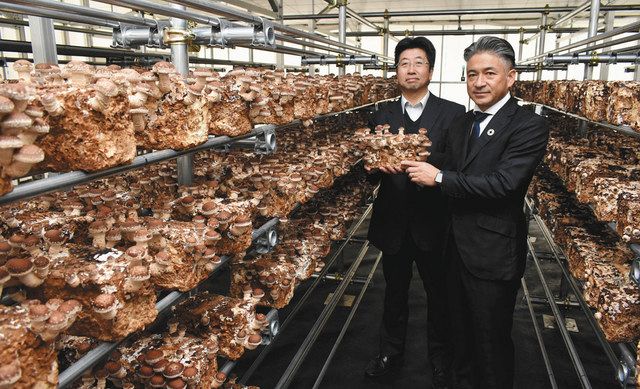 太陽光発電と農業両立 菌床シイタケ栽培 飯田 リックス 中日新聞web