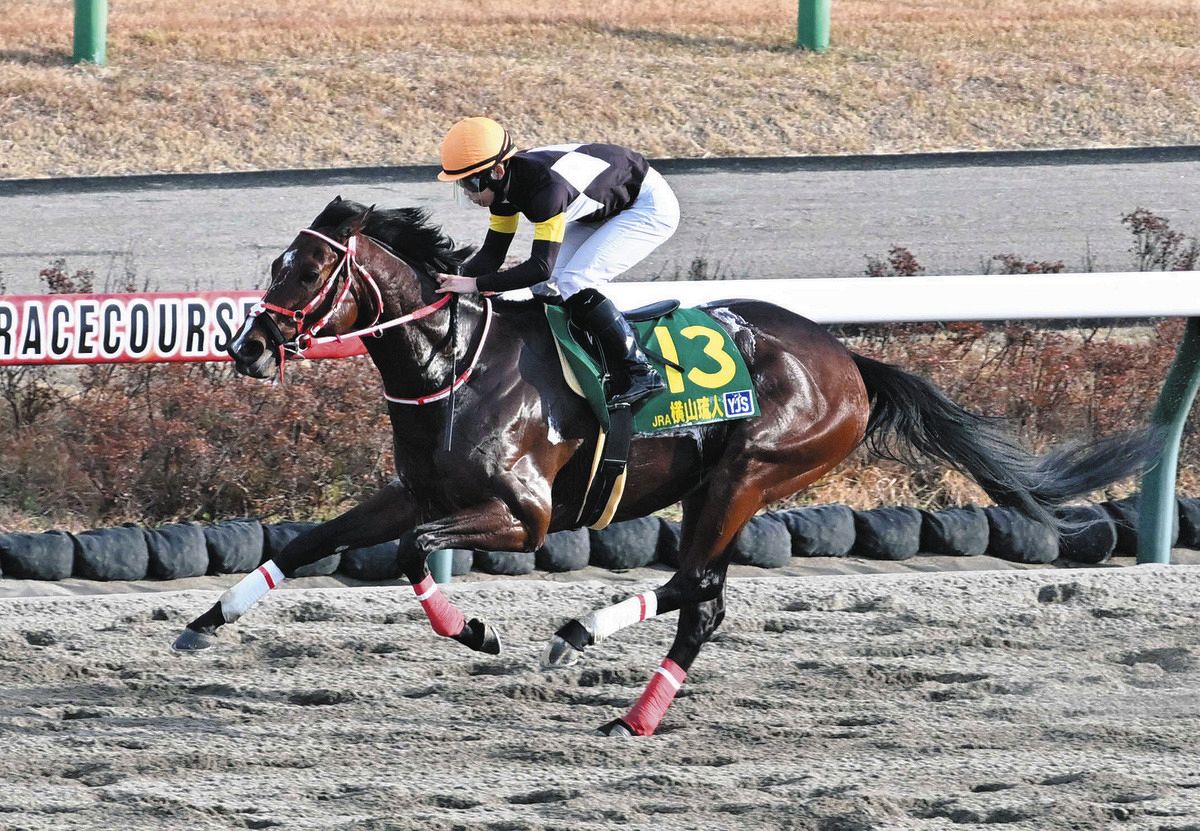 横山琉人、ヤングジョッキーズシリーズ2023で頂点 「勝ったことで優勝