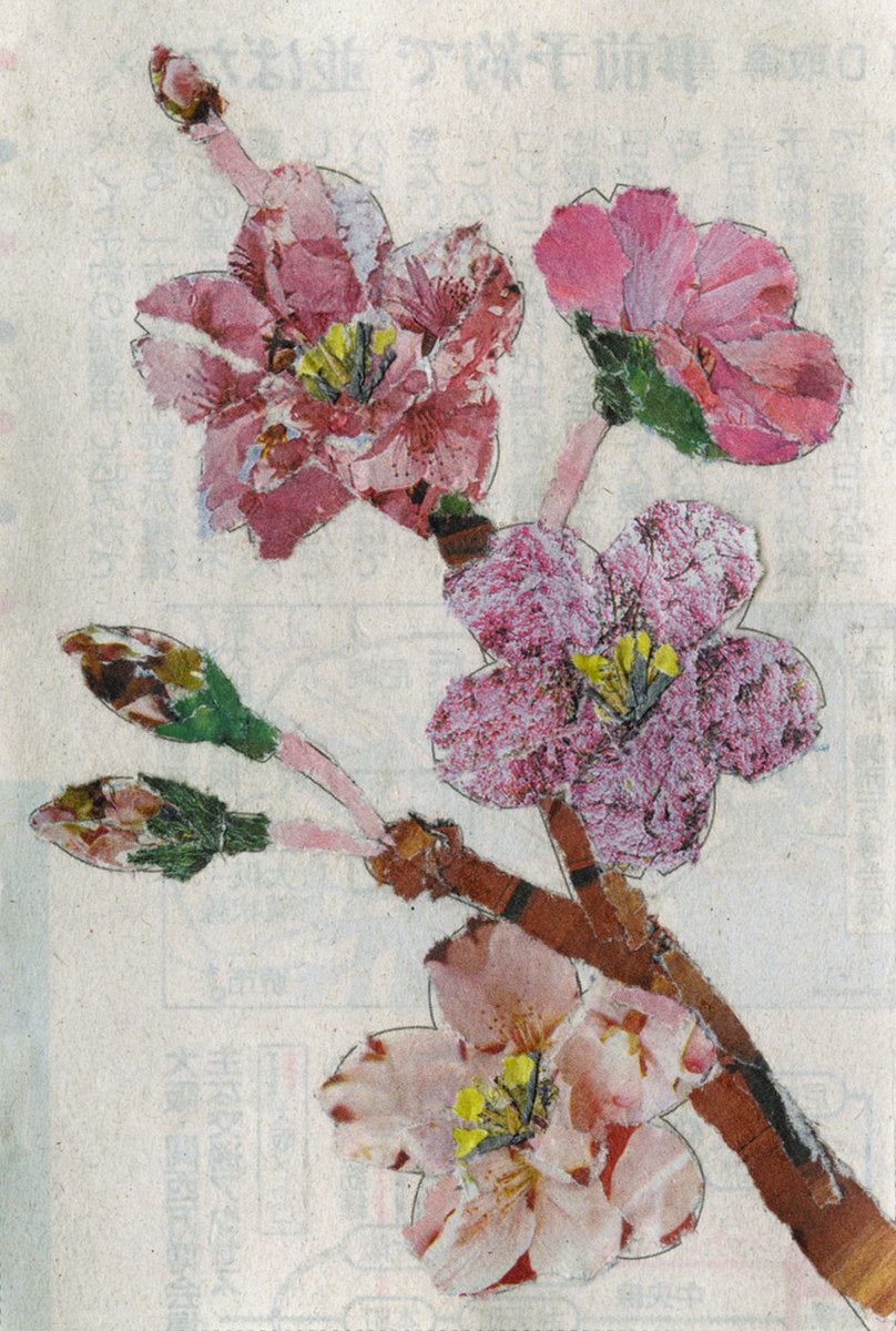 新聞ちぎり絵 ギャラリー＞ 「桜」：中日新聞しずおかWeb