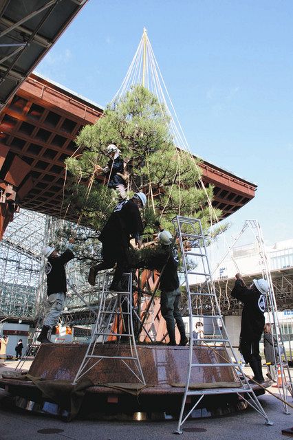 鼓門前 雪つり作業 金沢、冬支度：北陸中日新聞Web