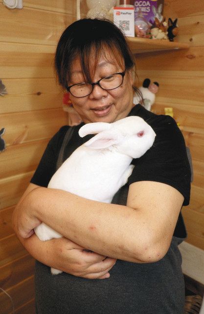 世話怠らず大切に飼ってね 津市でウサギ専門店がオープン 中日新聞web 世話怠らず大切に飼ってね 津市でウサギ専門店がオープン 中日新聞web