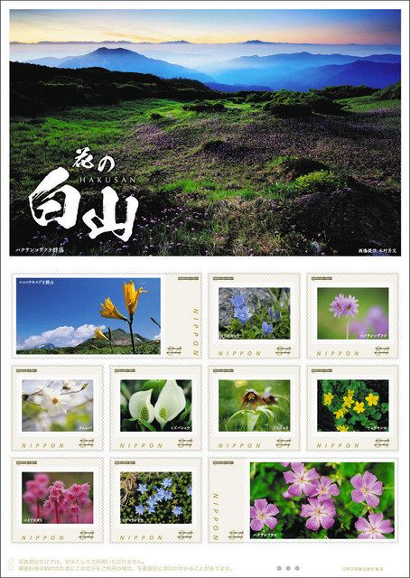 白山に咲く高山植物を写したオリジナルフレーム切手「花の白山」の見本＝日本郵便北陸支社提供
