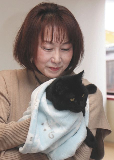 こだわりびと 保護猫カフェ で引き取り手探す 伊藤敬子さん 中日新聞web こだわりびと 保護猫カフェ で引き取り手探す 伊藤敬子さん 中日新聞web
