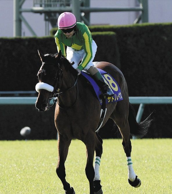 ルメール 18番ありがとうございます サトノレイナス 大外枠からの2着に エスプリ コメント 桜花賞 中日スポーツ 東京中日スポーツ