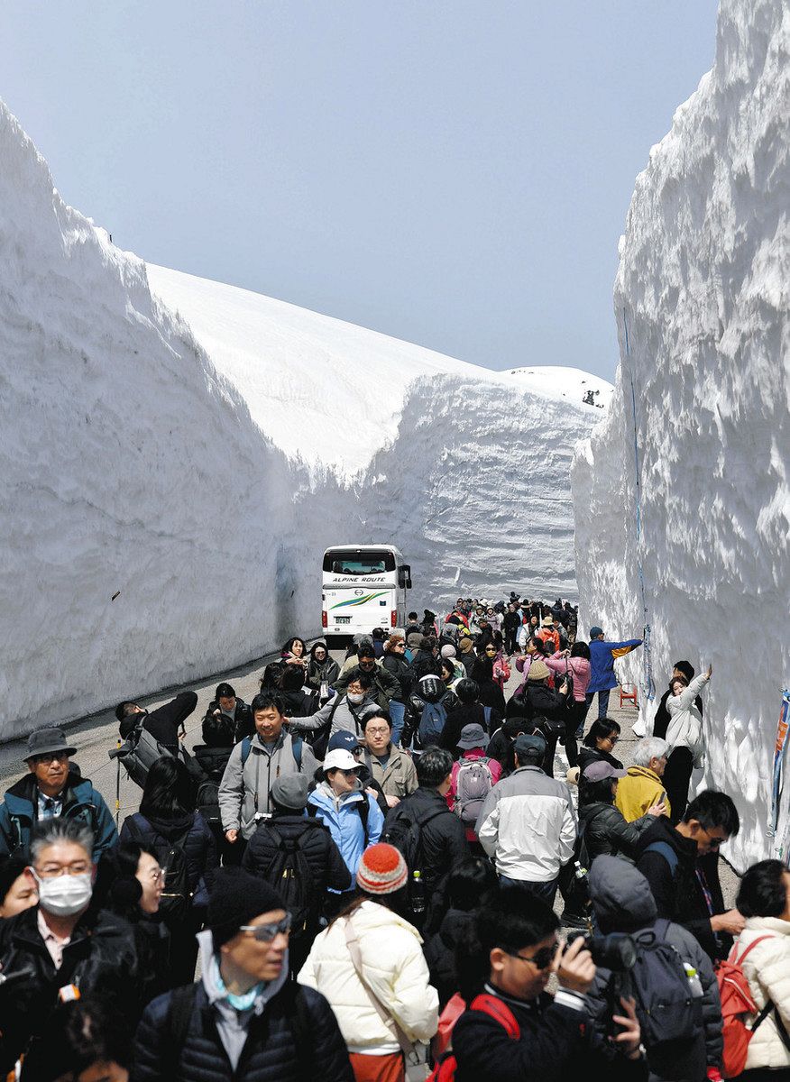 富山】好天の下 迫る雪壁 アルペンルート営業開始：北陸中日新聞Web