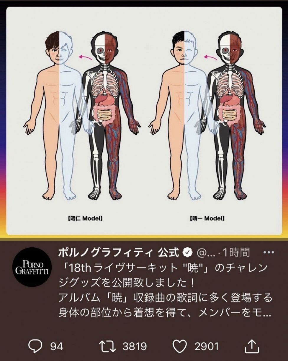 ポルノグラフィティ、今度は人体模型を発売でファン度肝 2体セットで3 