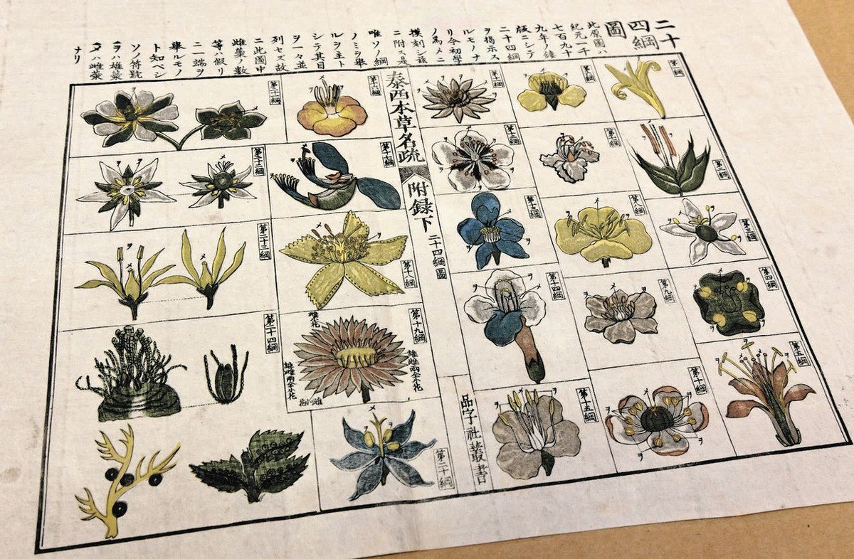 植物学者・伊藤圭介生誕220年 名古屋・丸の内小児童、東山で功績学ぶ：中日新聞Web