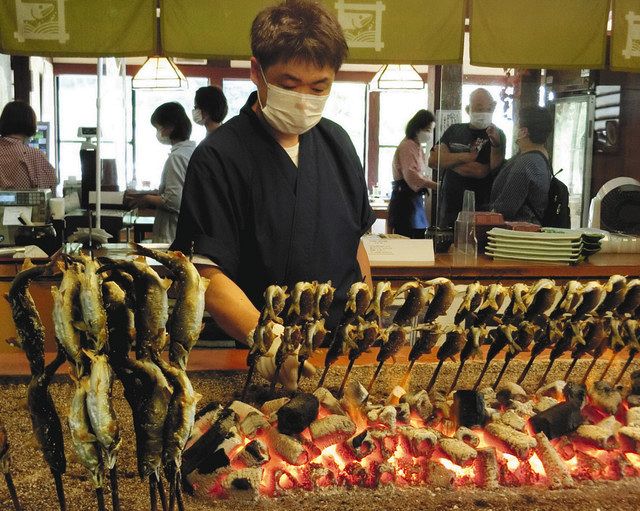 香ばし塩焼き旬の味 庄川 鮎の里 子持ちアユ料理提供開始 北陸中日新聞web