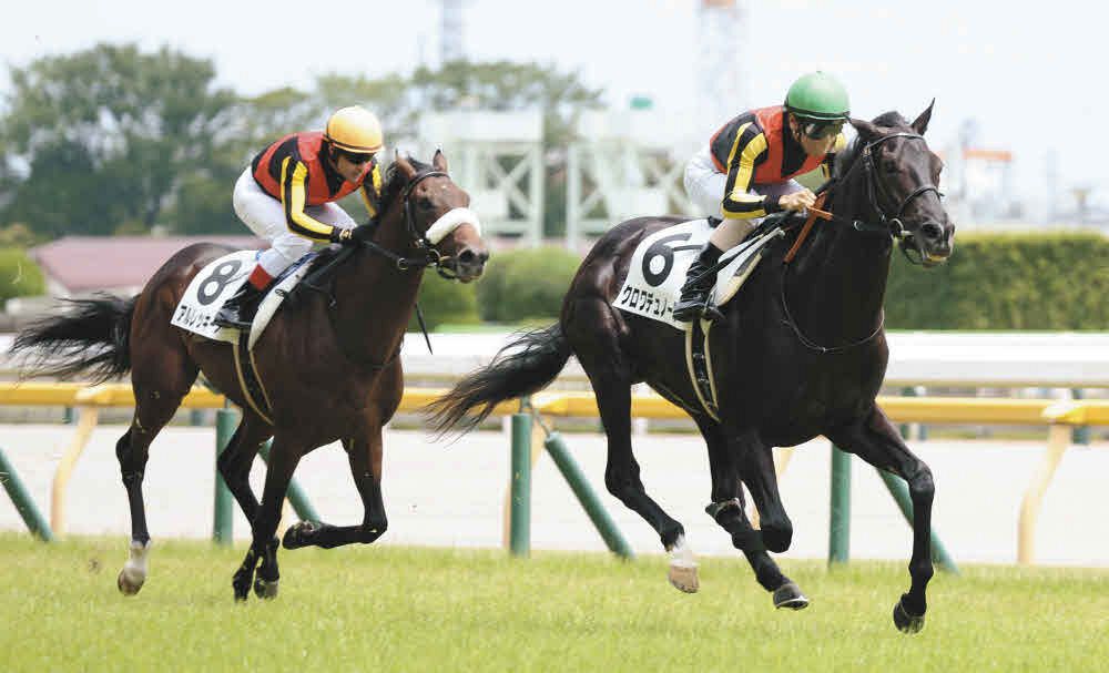 クロワデュノール メイクデビュー東京 新馬戦 現地的中単勝馬券