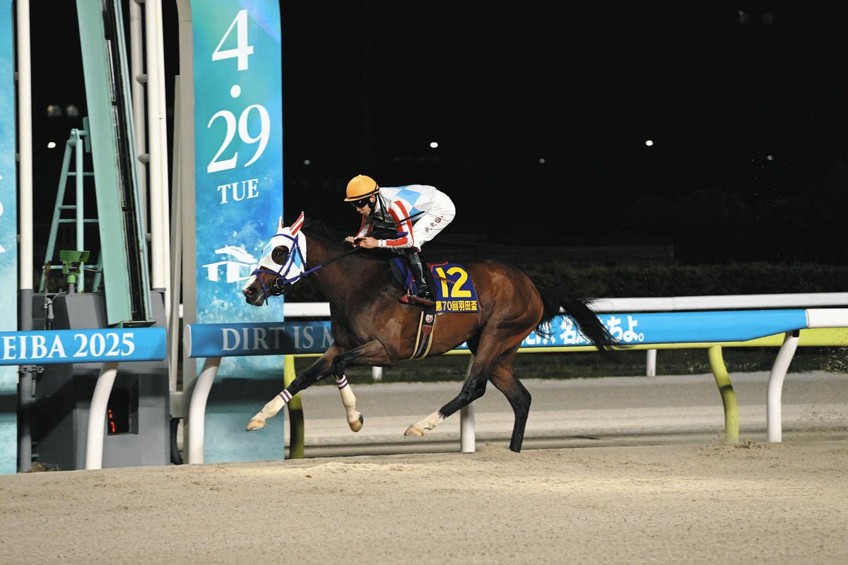 大井競馬】10月8日ジャパンダートクラシックの選定馬発表、3冠を目指す