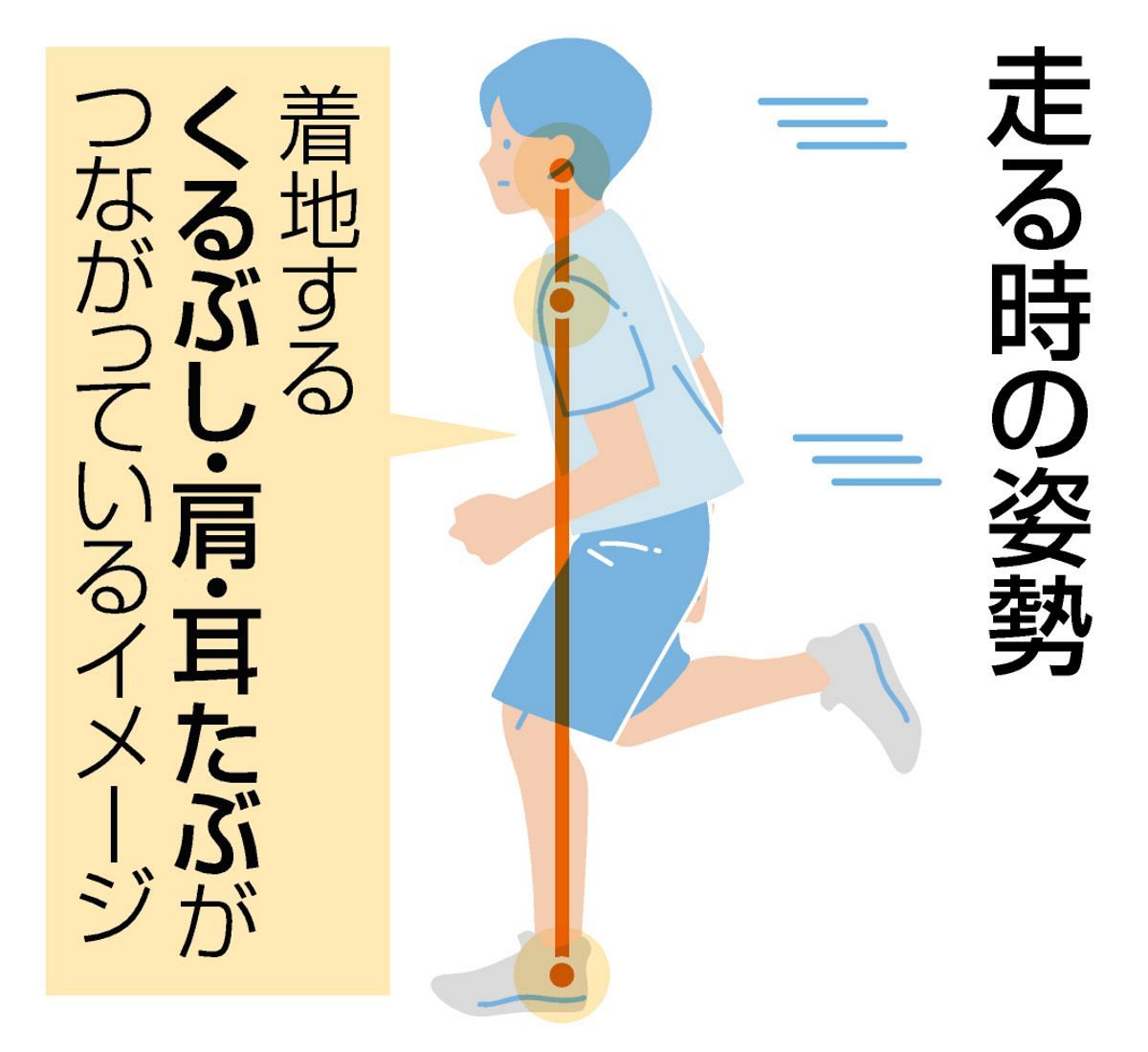 動画】運動会で役立つ！速く走るための4つのポイント：中日新聞Web