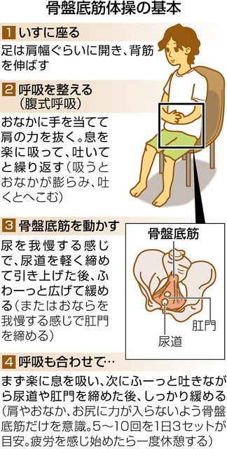 軽度の尿漏れ 体操で改善 女性の４人に１人が経験 ：中日新聞Web