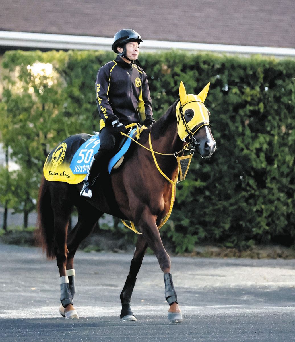チャンピオンズC】特別登録馬24頭を発表 川崎記念VなどG1級4勝