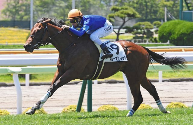 ゴドルフィン軍団は今年も2歳戦に強い…函館の新馬戦はブルースピリット