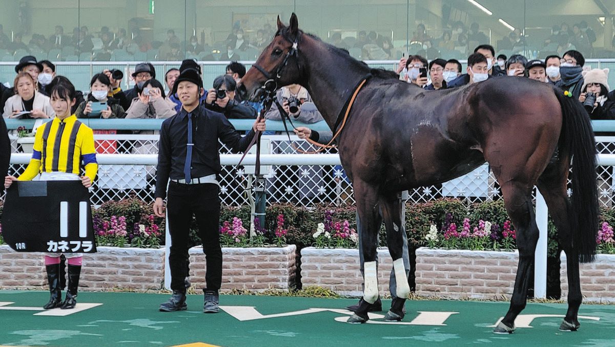 永島まなみ、自身初JRA年間50勝達成 「もっと上を目指して来年も頑張り 