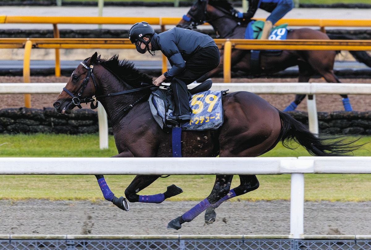 熊沢重文さんの二刀流予想】想定外が起こりにくいコース…天皇賞・秋はしっかり仕上げているドウデュース：中日スポーツ・東京中日スポーツ