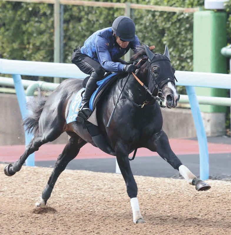 小倉記念追い切り】昨年の小倉大賞典Vエピファニーが5F64秒1―11秒8
