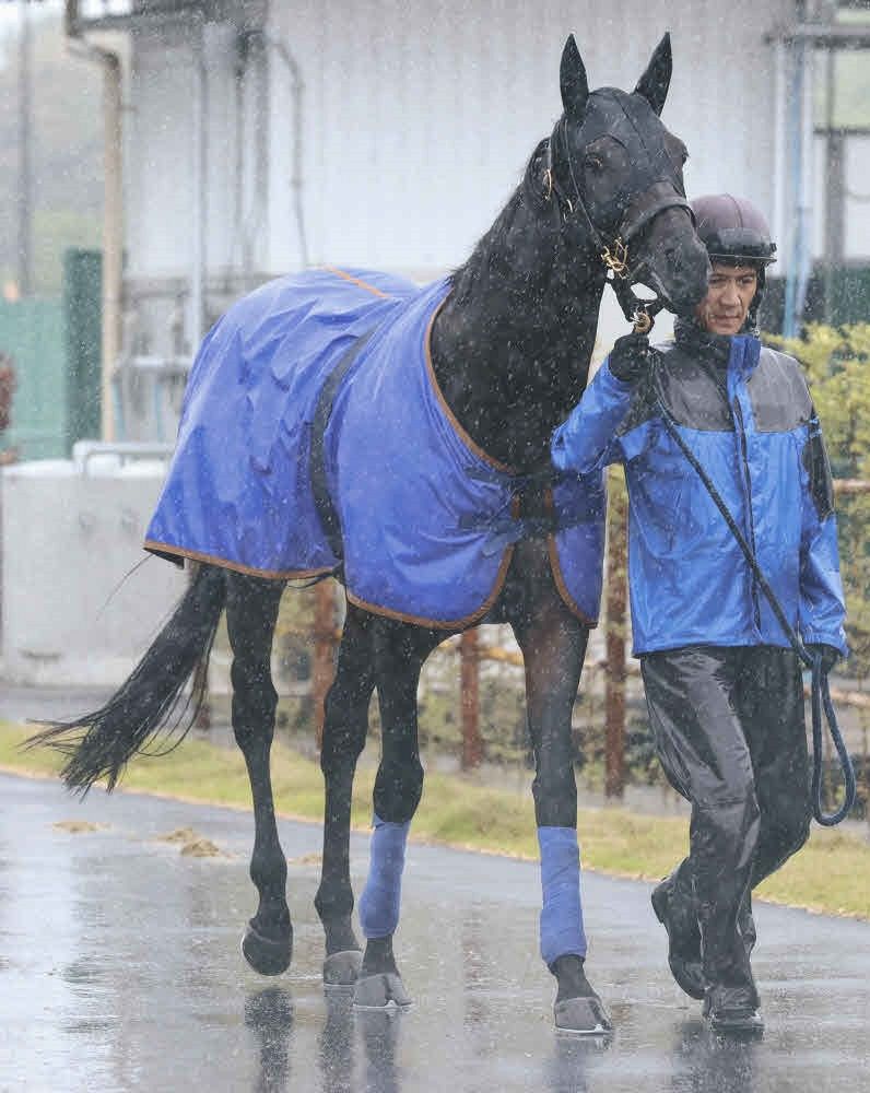 目黒記念・傾向と対策】過去10年8枠連対なく520キロ超の大型馬も苦戦