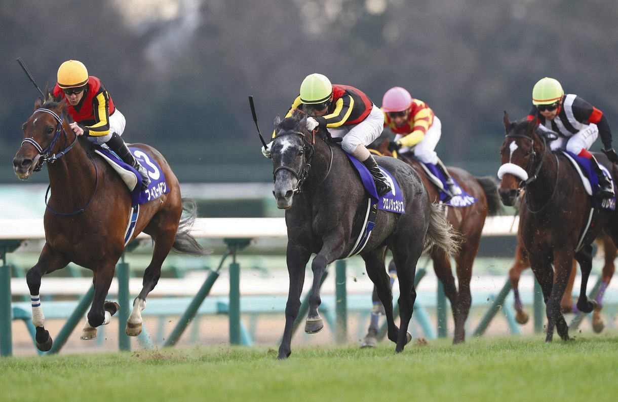 日程 表 競馬 中央 【2021年】競馬G1レース日程表＆人気レースTOP6