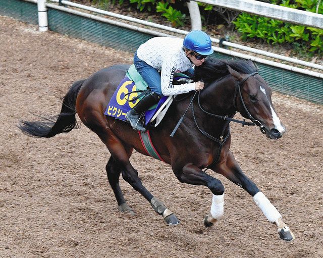 サイン入りゼッケン競馬ピクシーナイト母ピクシーホロウ超レア