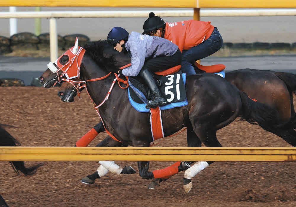 京都新聞杯追い切り】皐月賞7着キングスコールは栗東CWで3頭