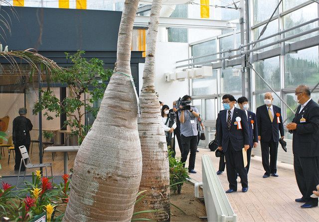 大温室改修 遊具や研修室 氷見市海浜植物園 リニューアル 北陸中日新聞web