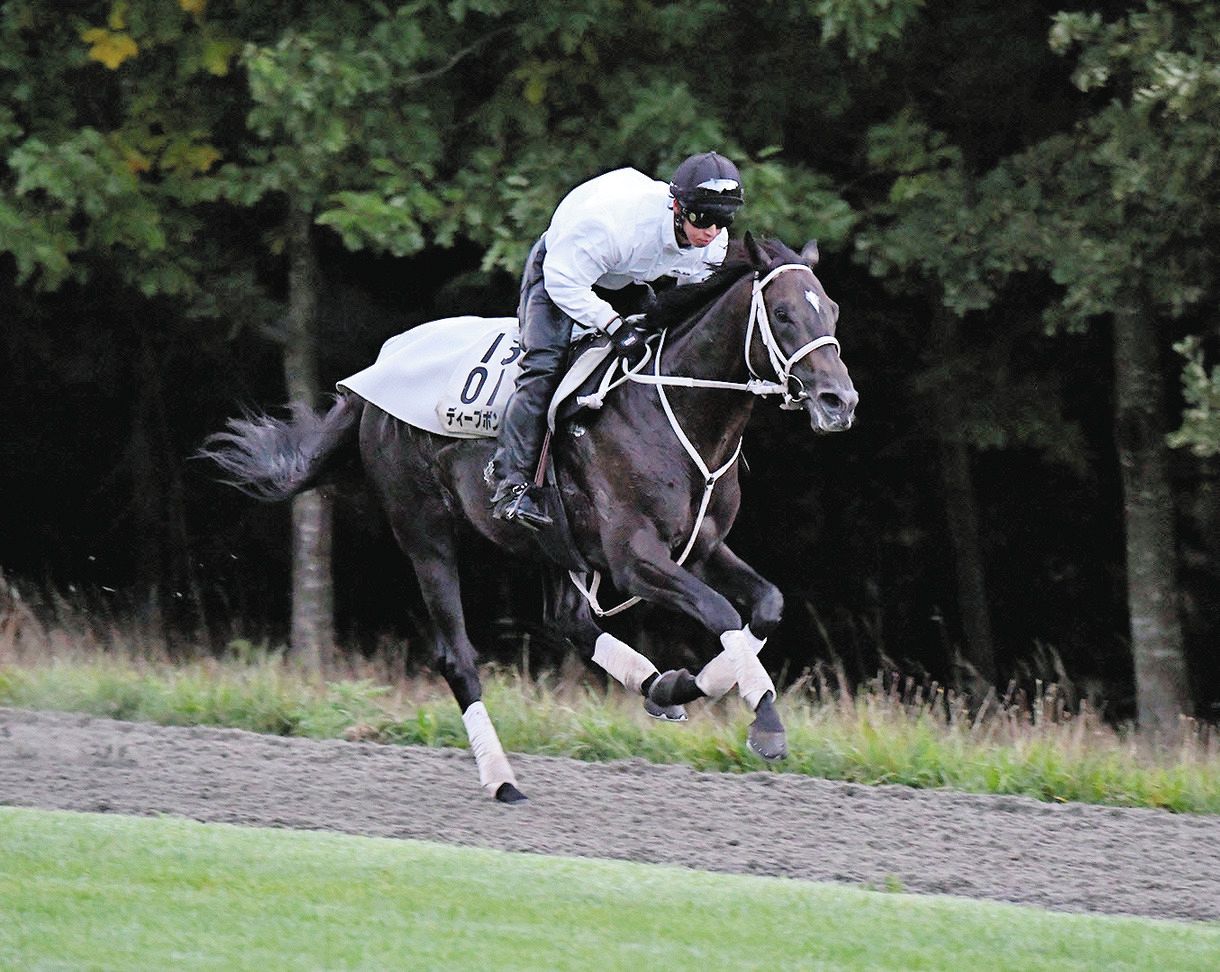 個別対応可能な-売り切り 競馬 ディープボ•ンド •凱旋門賞ジャケット