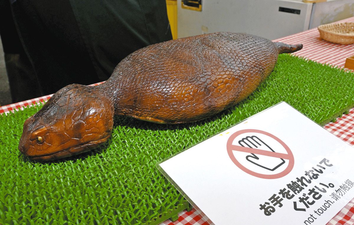 ツチノコ探しはロマン」 岐阜県東白川村のフェスタ、村の人口上回る人
