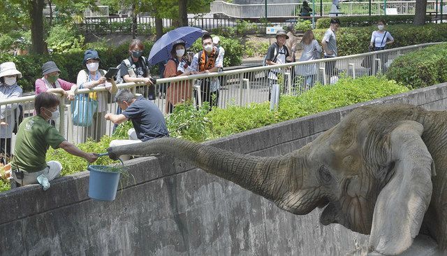 愛知 東山動植物園が再開 開門前に待つ人も 中日新聞web
