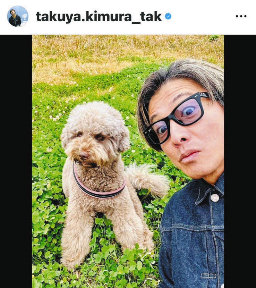 キムタク 犬 散歩