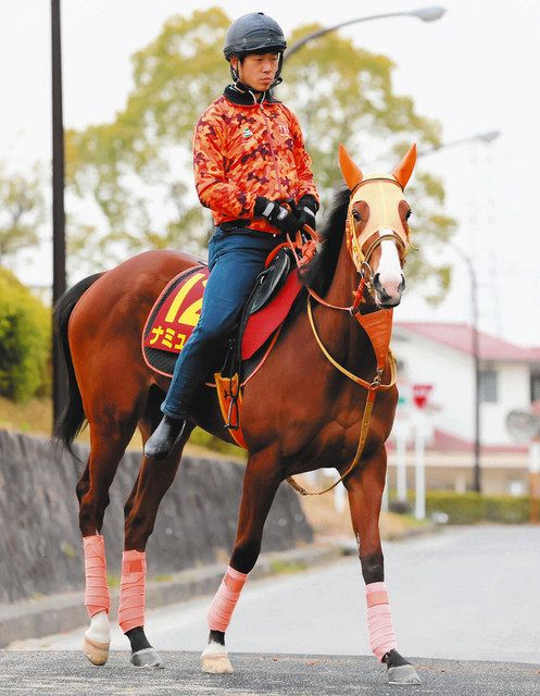 桜花賞】主役のナミュール送り込む高野師 クラシック初制覇へ気持ち 
